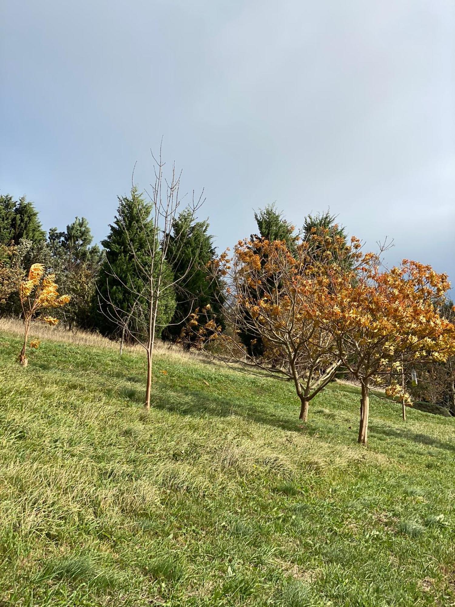 Finca Portizuelo Luarca Exterior foto