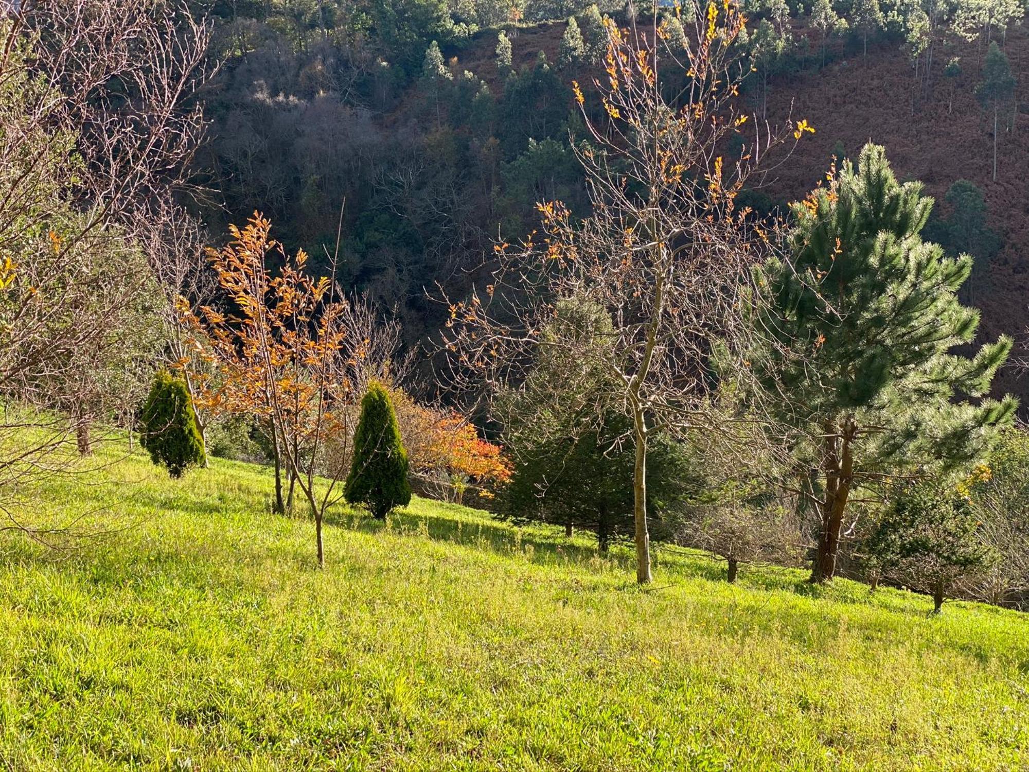 Finca Portizuelo Luarca Exterior foto