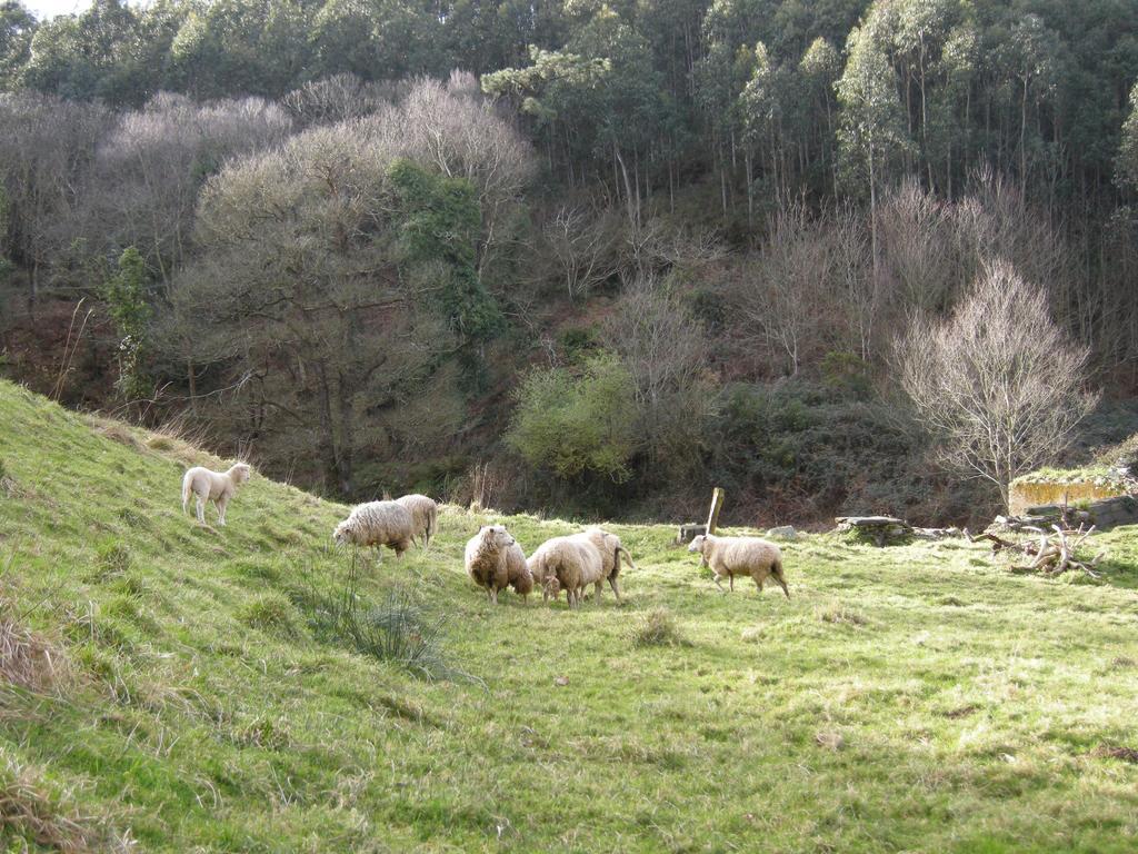 Finca Portizuelo Luarca Exterior foto